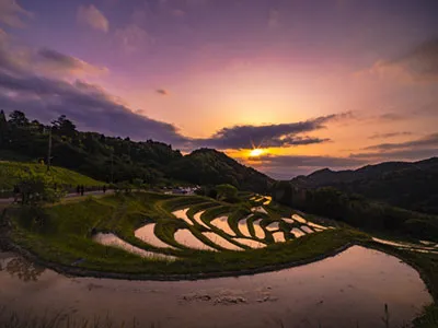 大山千枚田